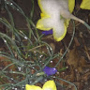 Meet your Posher, Eleanore